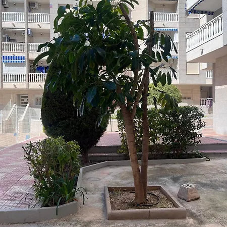 Ideal Pool Llm Apartment *